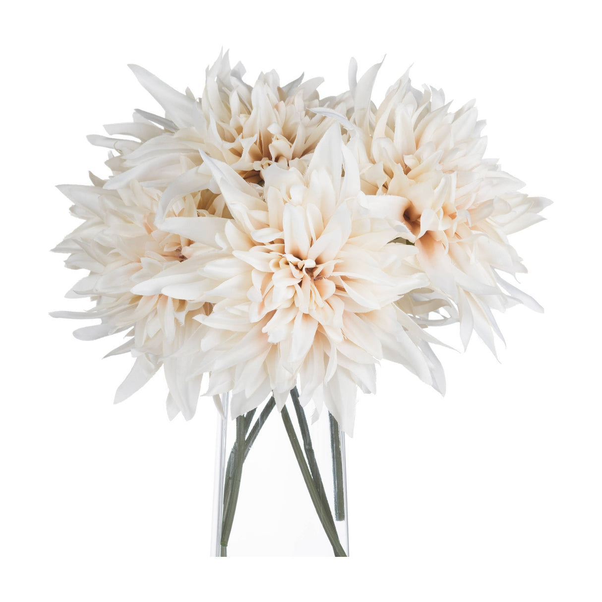 Hill Interiors Café Au Lait faux dahlia stems with cream and blush ruffled blooms arranged in a clear glass vase on a white background.