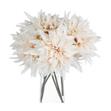 Hill Interiors Café Au Lait faux dahlia stems with cream and blush ruffled blooms arranged in a clear glass vase on a white background.
