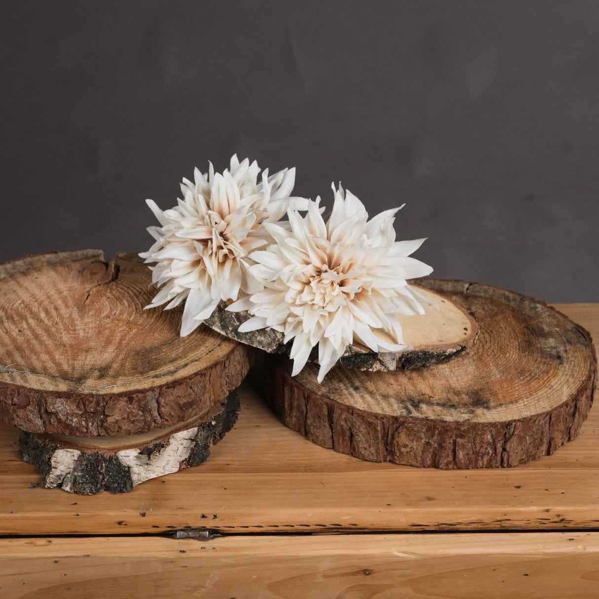 Hill Interiors Café Au Lait faux dahlia stems with cream ruffled blooms resting on stacked wooden log slices against a grey backdrop.