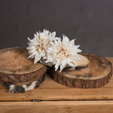 Hill Interiors Café Au Lait faux dahlia stems with cream ruffled blooms resting on stacked wooden log slices against a grey backdrop.