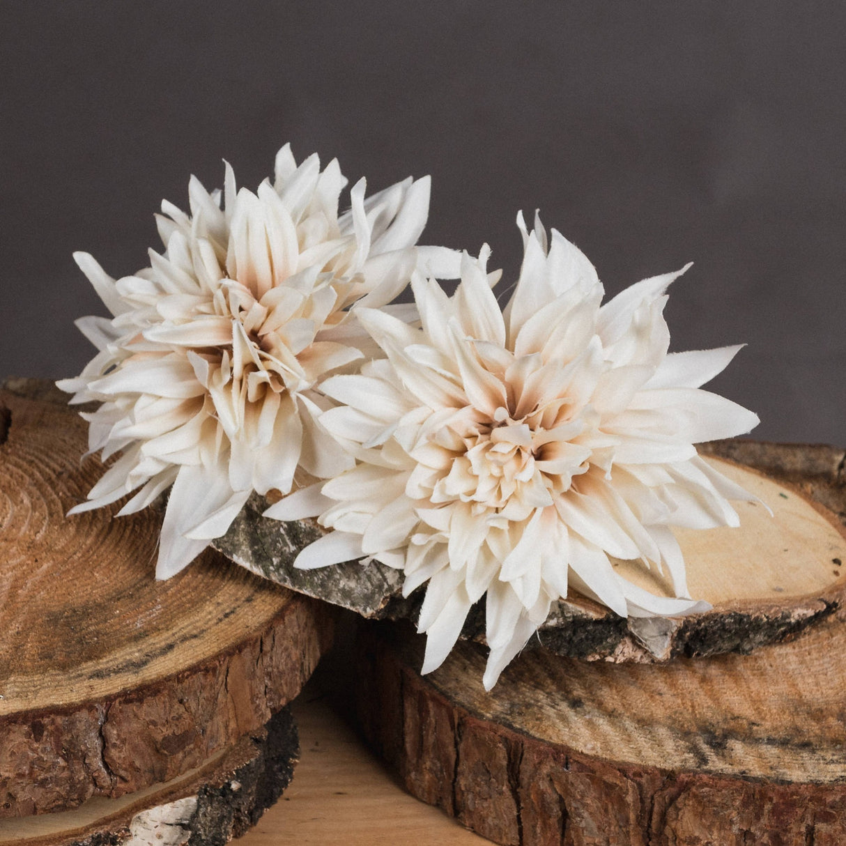 Hill Interiors Café Au Lait faux dahlia stems with layered cream and blush petals, displayed on stacked wooden log slices against a dark grey background.