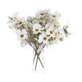 Hill Interiors Cream Cosmos Spray arrangement with cream daisy-like blooms and wispy foliage displayed in a clear tapered glass vase on a white background.