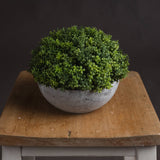 Hill Interiors Small Hebe Globe Pot with a dense green faux foliage dome in a distressed grey stone-effect bowl, displayed on a wooden stool.