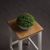 Hill Interiors Small Hebe Globe Pot with dense green faux foliage in a textured grey bowl, displayed on a rustic wooden stool against a dark backdrop.