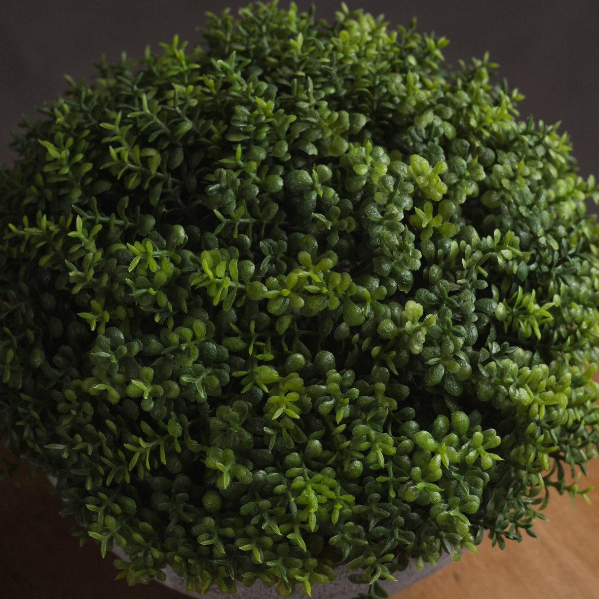 Overhead view of the Hill Interiors Small Hebe Globe Pot, showing the dense green dome of small oval faux leaves with subtle tonal variation.