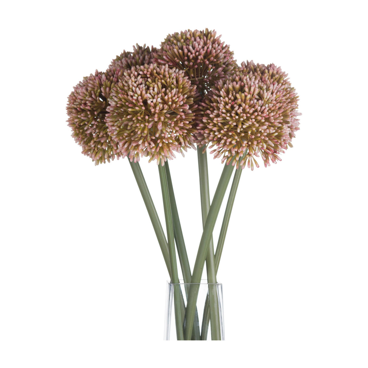 Hill Interiors Pink Allium faux stems with rounded pom-pom heads in blush and green tones, arranged in a clear glass vase against a white background.