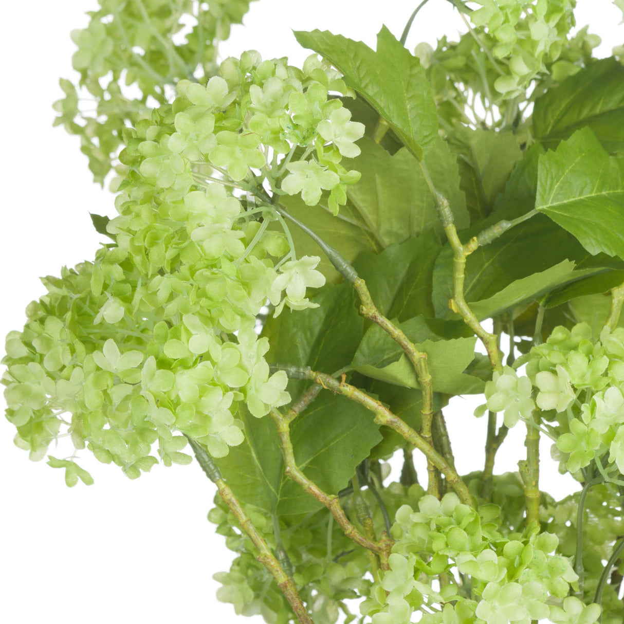Close-up of Hill Interiors Green Viburnum Spray with domed clusters of tiny green petals and broad veined leaves on a branching stem, white background.