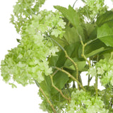 Close-up of Hill Interiors Green Viburnum Spray with domed clusters of tiny green petals and broad veined leaves on a branching stem, white background.