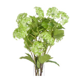 Hill Interiors Green Viburnum Spray with rounded pale green flower clusters and veined leaves, arranged in a clear glass vase on a white background.