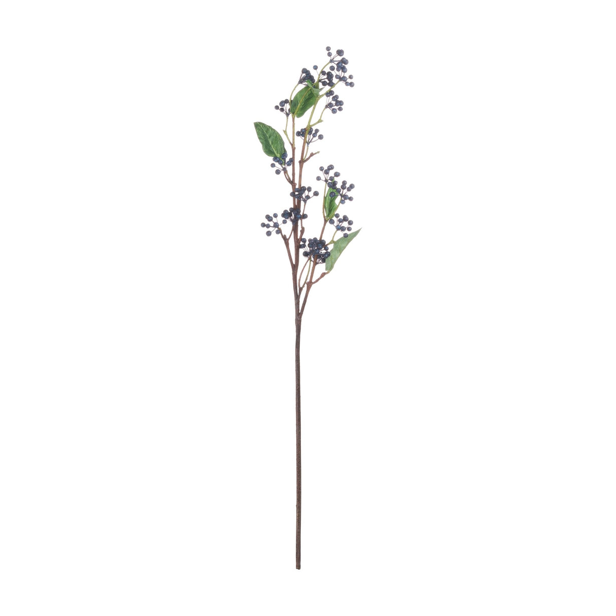 Viburnum Berry