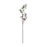Viburnum Berry