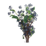 Viburnum Berry