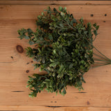 Hill Interiors Red Tipped Leaf Spray, a faux foliage stem with small green leaves on slender stems, laid flat on a light wooden plank surface.