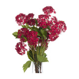 Red Autumnal Viburnum