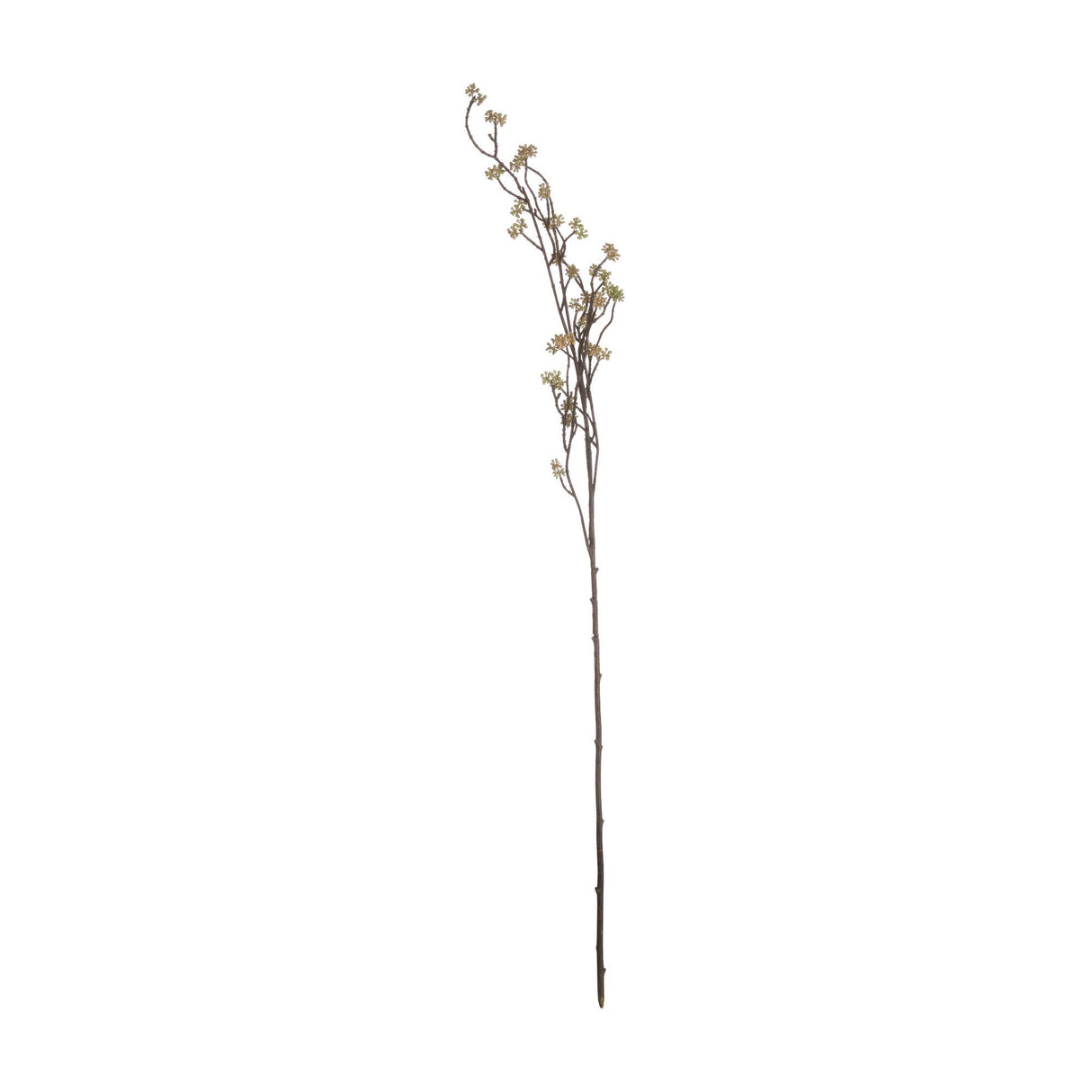 Hill Interiors Branch in Bloom Filler, a tall 109cm faux flower stem with slender brown branches and clusters of tiny green blooms, on a white background.