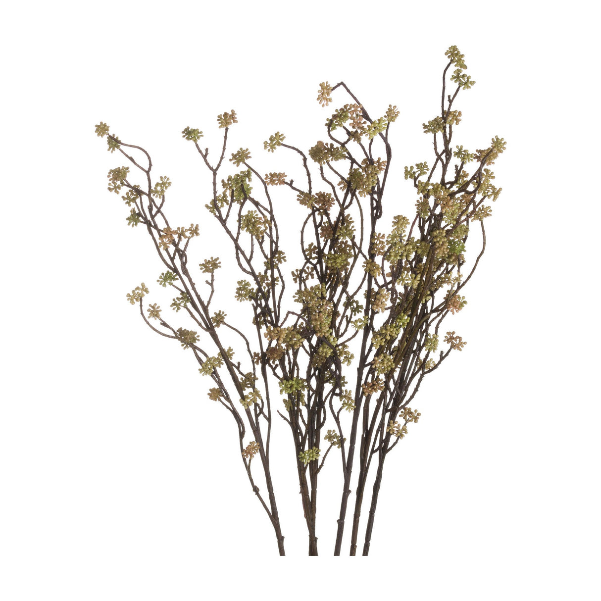 Hill Interiors Branch in Bloom Filler, a tall artificial stem with slender brown branches and clusters of tiny green blooms, shown on a white background.