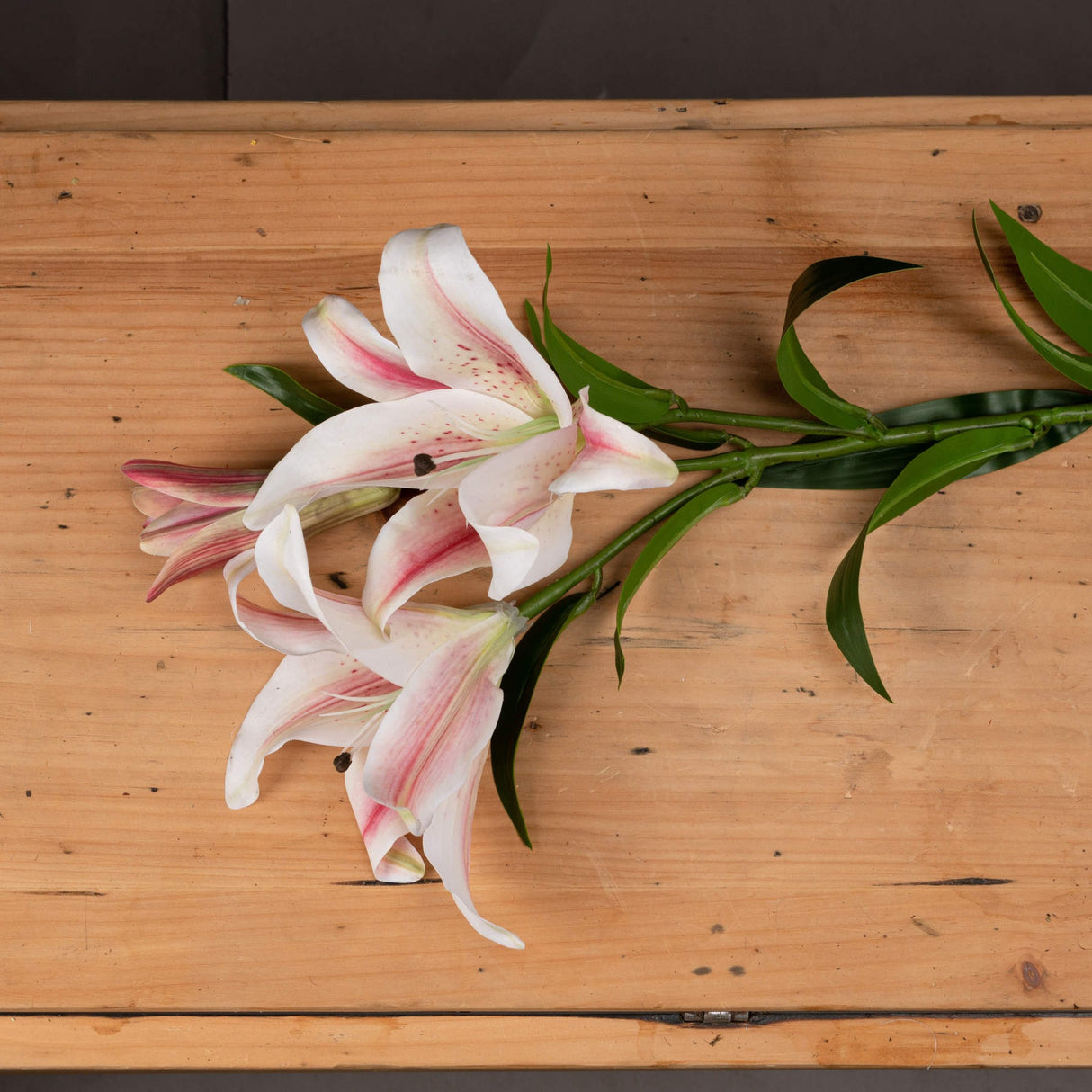 Hill Interiors Stargazer Lily faux stem with white pink-flushed curling petals, speckled centres and green leaves, laid on a wooden surface.