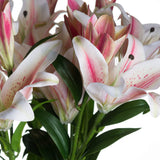 Close-up of Hill Interiors Stargazer Lily faux stem showing white petals with pink centres, speckled detailing, dark stamens and green leaves.