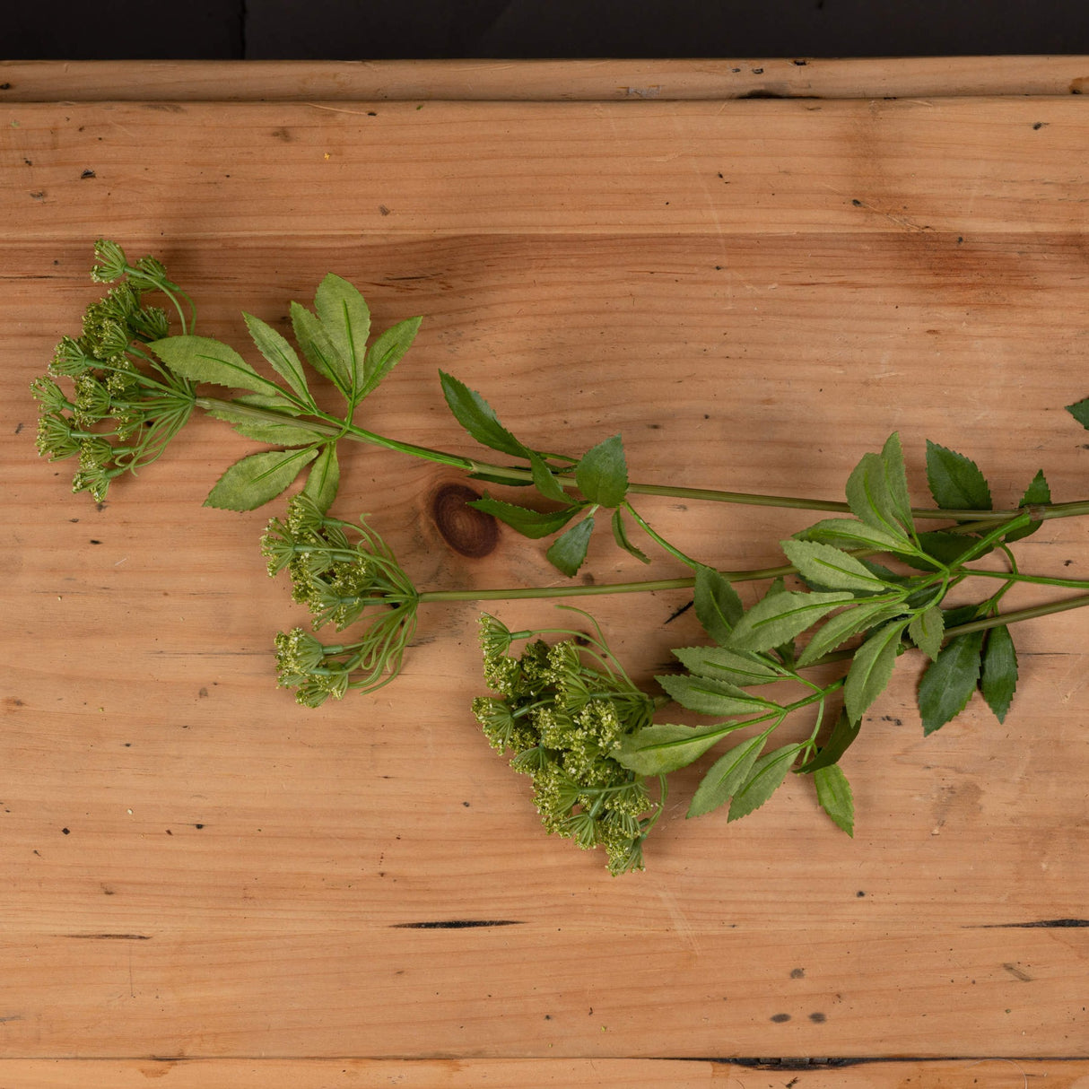 Hill Interiors Faux Cow Parsley Ammi stem with green feathery foliage and clusters of tiny pale florets laid on a light wooden surface.