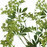 Close-up of Hill Interiors Faux Cow Parsley Ammi stems showing lacy green umbel flower heads and serrated foliage against a white background.