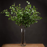 Hill Interiors Green Branch Spray faux foliage stems arranged in a tall clear glass cylinder vase on a wooden surface against a dark background.