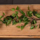 Hill Interiors Green Branch Spray faux foliage stem with slender green leaves fanning along a plastic branch, displayed flat on a rustic wooden surface.