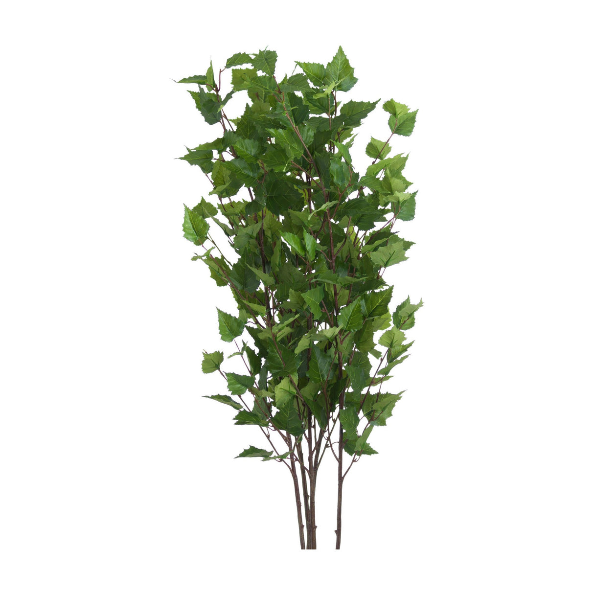 Hill Interiors Green Branch Spray, a tall faux foliage stem with slender green leaves fanning along dark branching offshoots, shown on a plain white background.