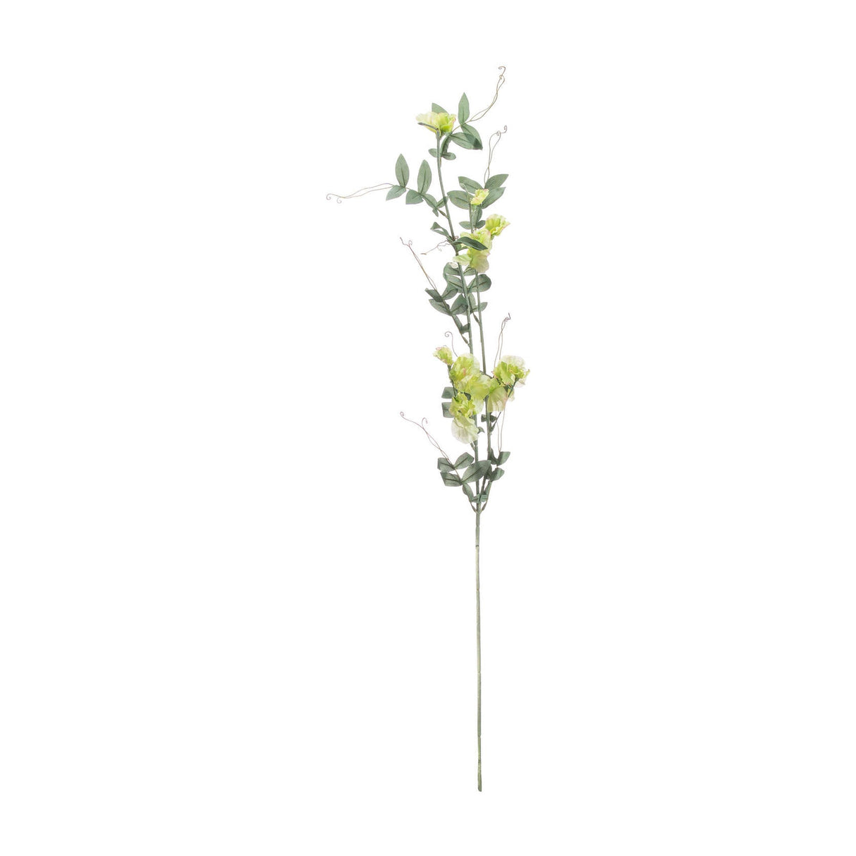 Hill Interiors Sweet Pea Trail faux flower stem with pale green ruffled blooms, trailing green foliage and curling tendrils on a plain white background.