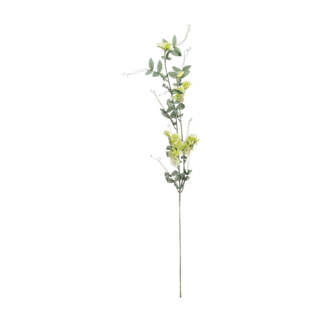 Hill Interiors Sweet Pea Trail faux flower stem with pale green ruffled blooms, trailing green foliage and curling tendrils on a plain white background.