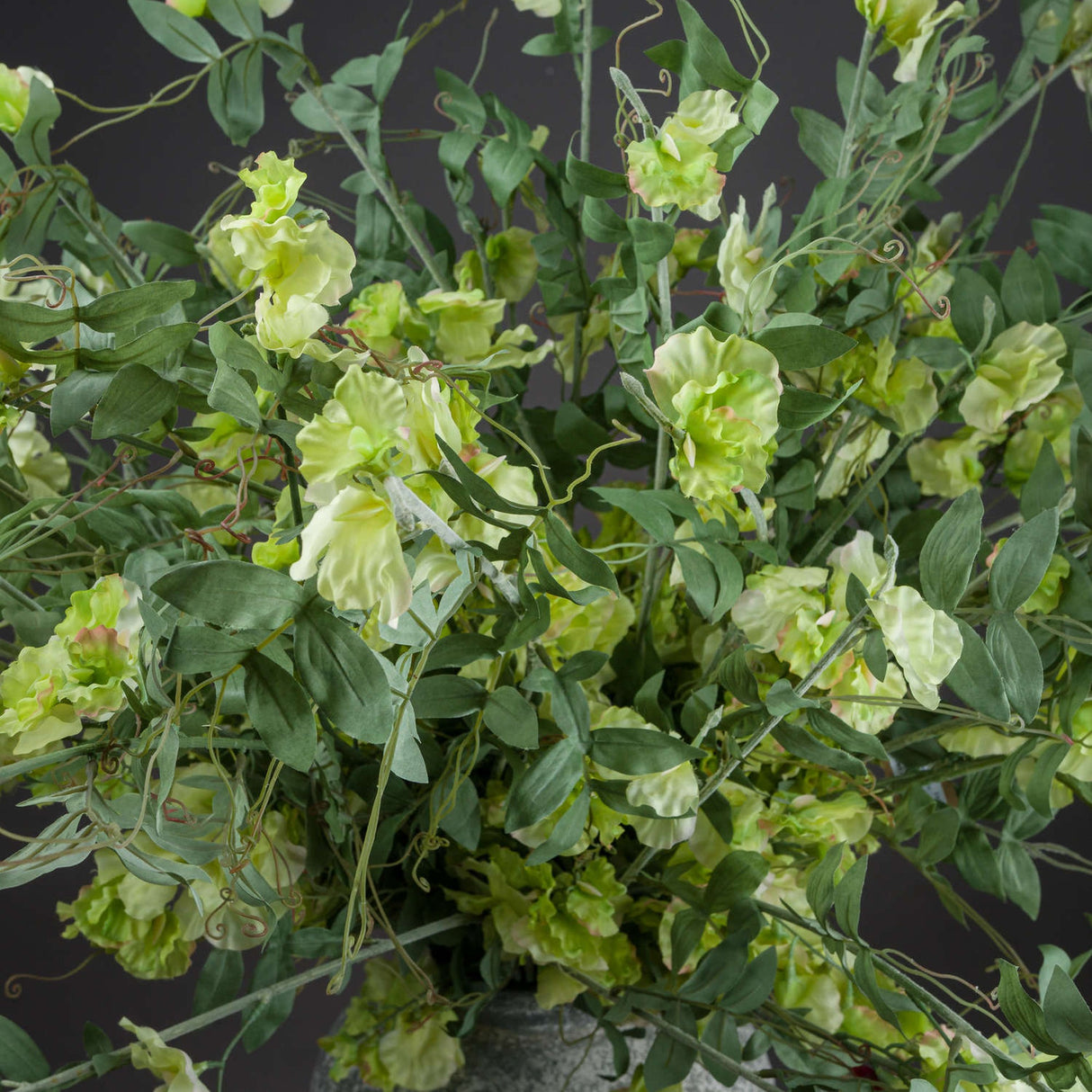 Hill Interiors Sweet Pea Trail faux flower stem with ruffled pale green blooms, tapering leaves and curling tendrils, shown against a dark background.