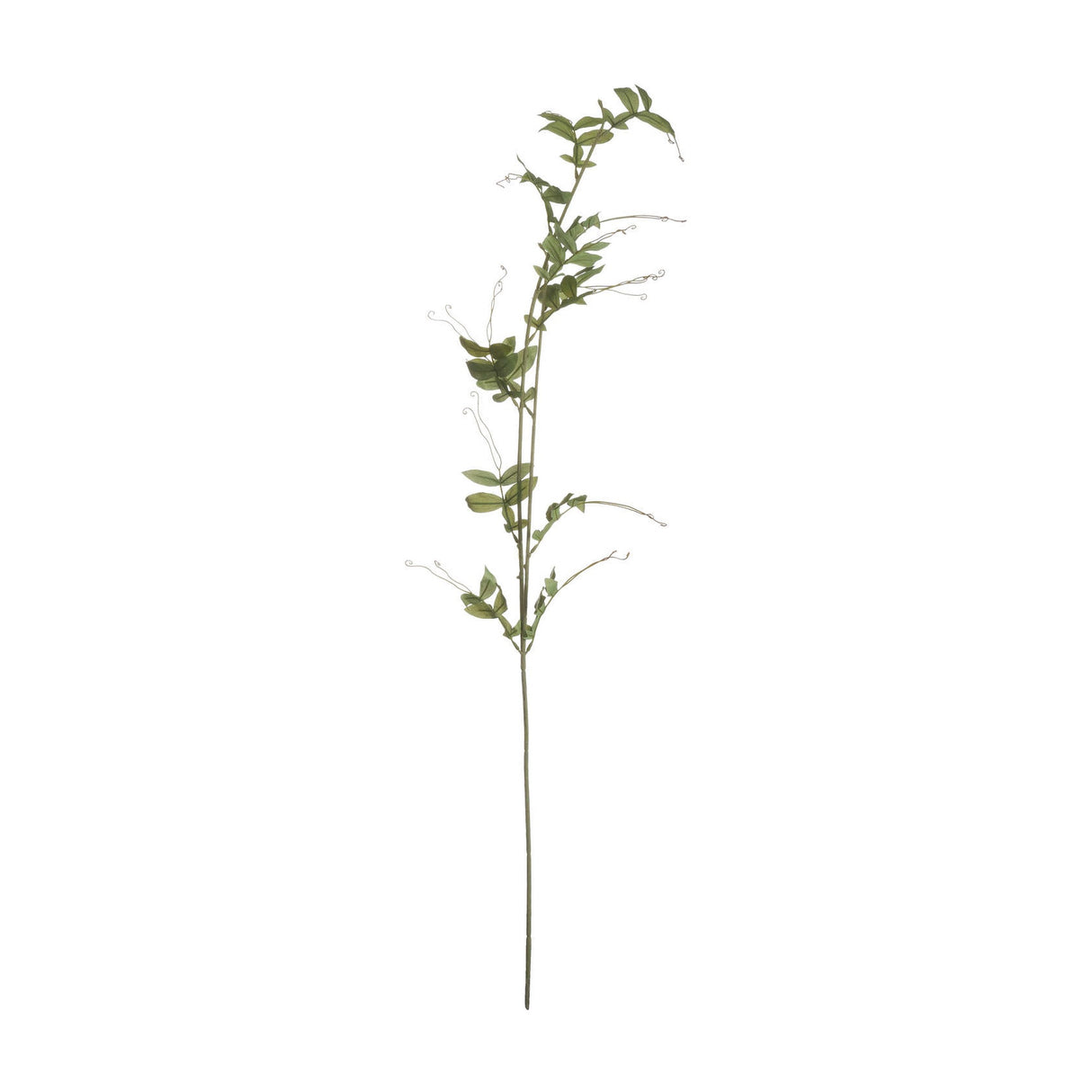 Hill Interiors Sweet Pea Trail faux flower stem with green tapering leaves and curling tendrils along a slender bendable plastic stem, on a white background.