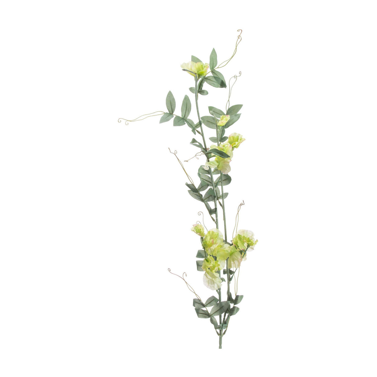 Hill Interiors Sweet Pea Trail faux stem with ruffled green blooms, tapered leaves and curling tendrils on a bendable plastic stem, white background.