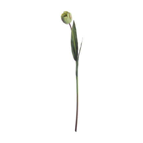 Hill Interiors Green Tulip faux flower stem with a single cupped bloom and slim leaf on a plain white background.