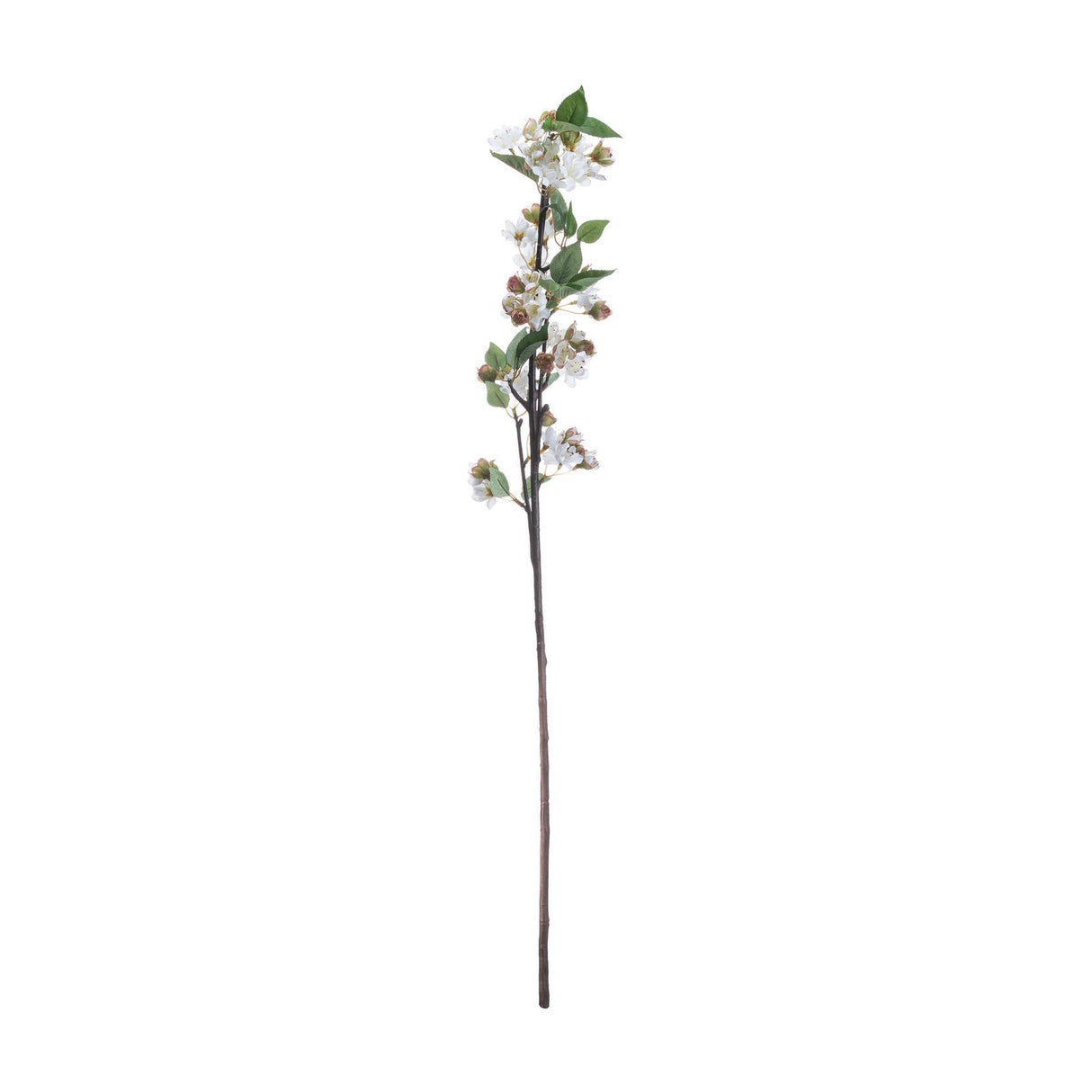 Hill Interiors English Blossom Branch, a 90cm faux stem with clusters of white blossom, buds and green leaves on a brown bendable branch, on white.