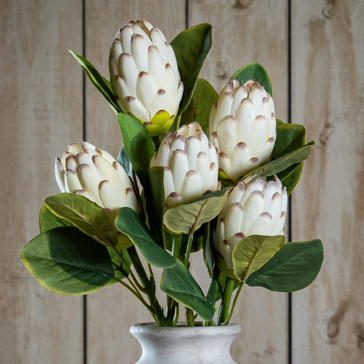 Hill Interiors Closed White Protea faux flower stems with cream layered petals and green leaves arranged in a pale stone vase against wood panelling.