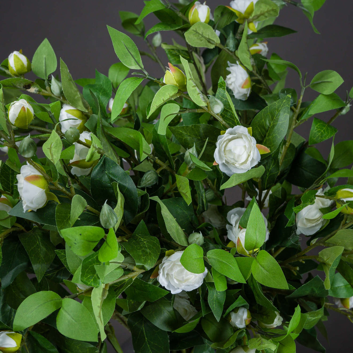 Close-up of the Hill Interiors Cream Gardenia Stem showing layered cream blooms and green buds among deep green veined foliage against a dark background.