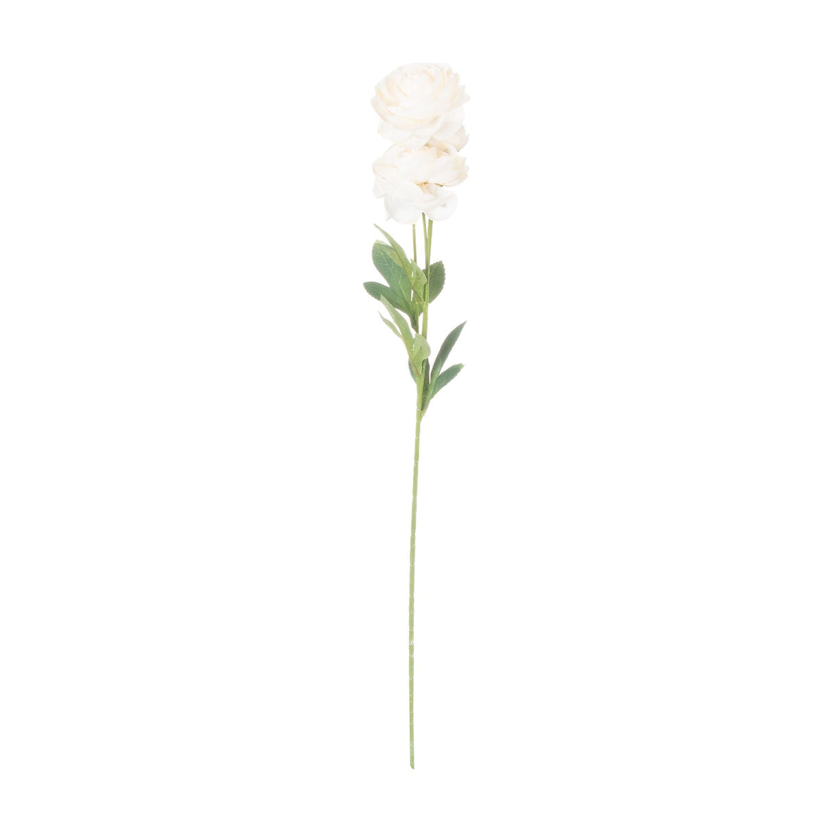 Hill Interiors Cream Ranunculus faux stem with two layered cream blooms, pale green centres and green leaves on a tall wired stem, shown on a white background.
