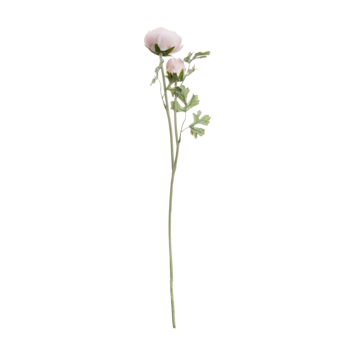 Hill Interiors Pastel Pink Ranunculus faux stem with a full bloom, smaller bud, and slim green leaves on a bendable stem against a white background.