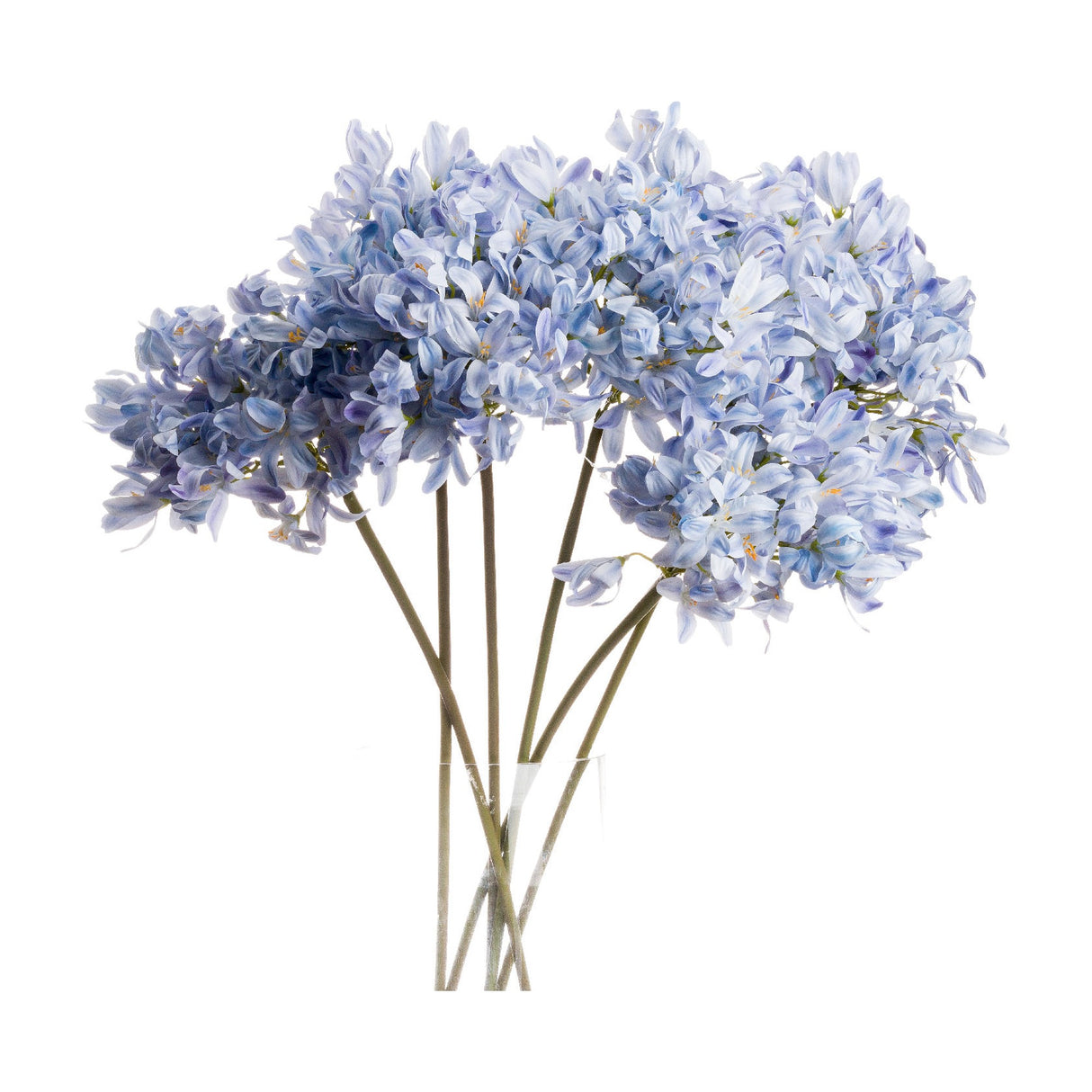 Hill Interiors Light Blue Large Headed Agapanthus faux flower stems grouped in a clear glass vase, showing rounded clusters of pale blue florets.