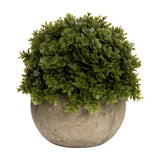 Hill Interiors Miniature Hebe Veronica faux potted plant with a rounded mound of green leaves in a small stone-effect pot, on a white background.