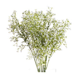 Hill Interiors White Gypsophila Spray with fine branching stems and tiny white blooms arranged in an airy cluster within a clear glass vase.