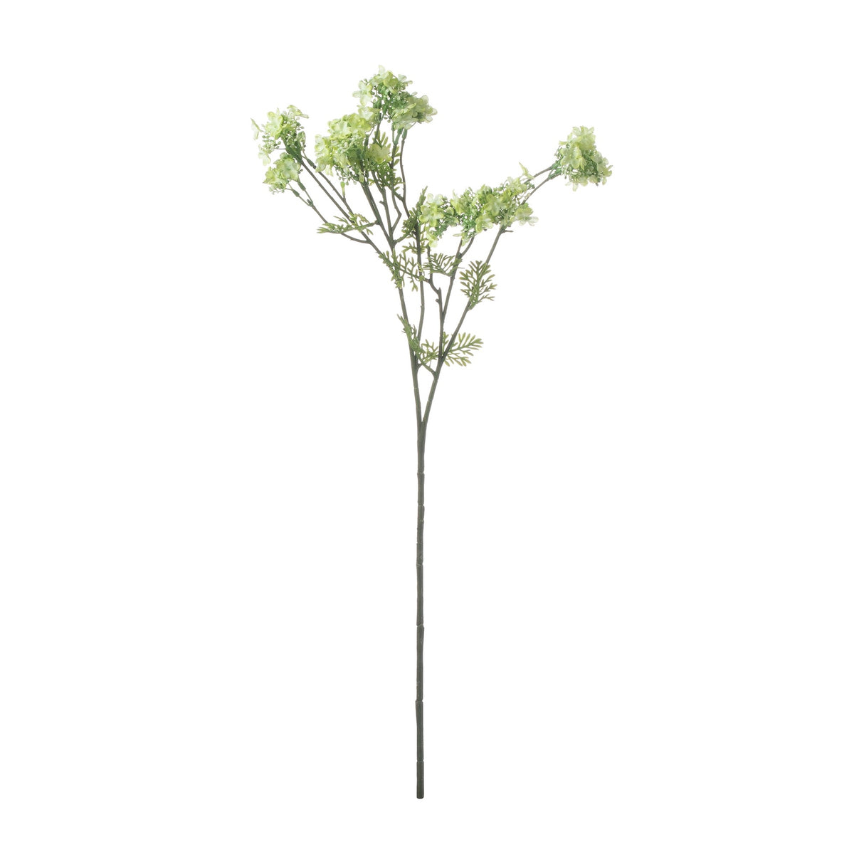 Hill Interiors Green Plumb Blossom Spray, a tall faux stem with clusters of small green blossoms and fine foliage, shown on a plain white background.