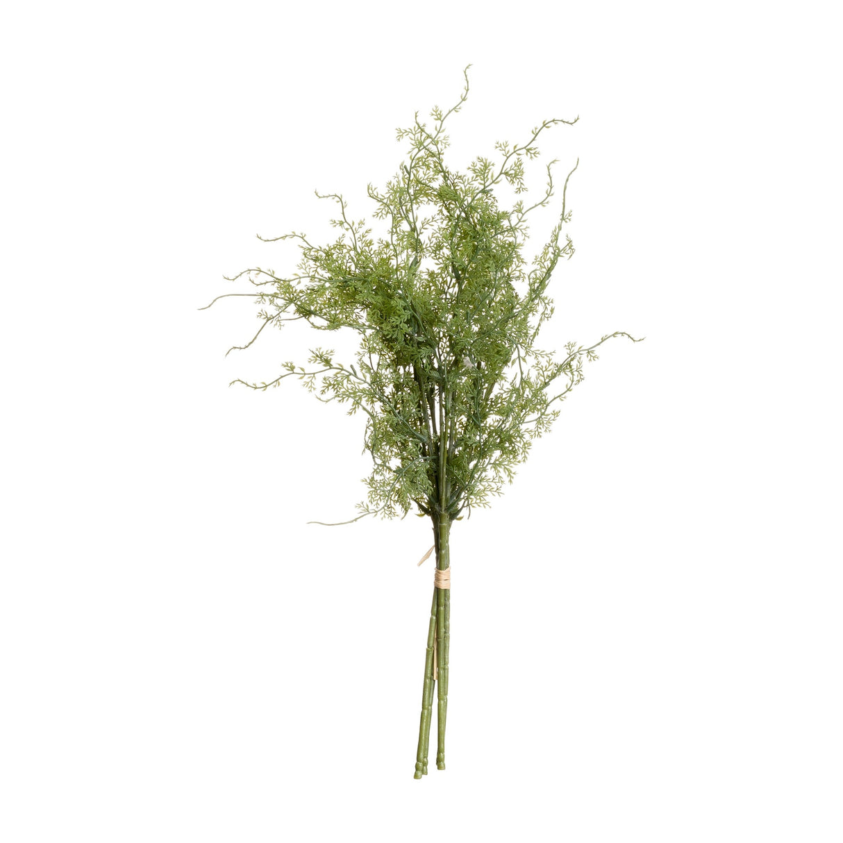 Hill Interiors Asparagus Fern Bunch, a faux foliage bouquet with fine feathery green fronds on slim stems tied at the base, shown on a white background.