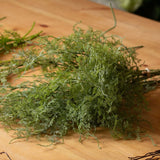 Hill Interiors Asparagus Fern Bunch with fine green feathery fronds and bendable plastic stems, laid on a wooden surface.