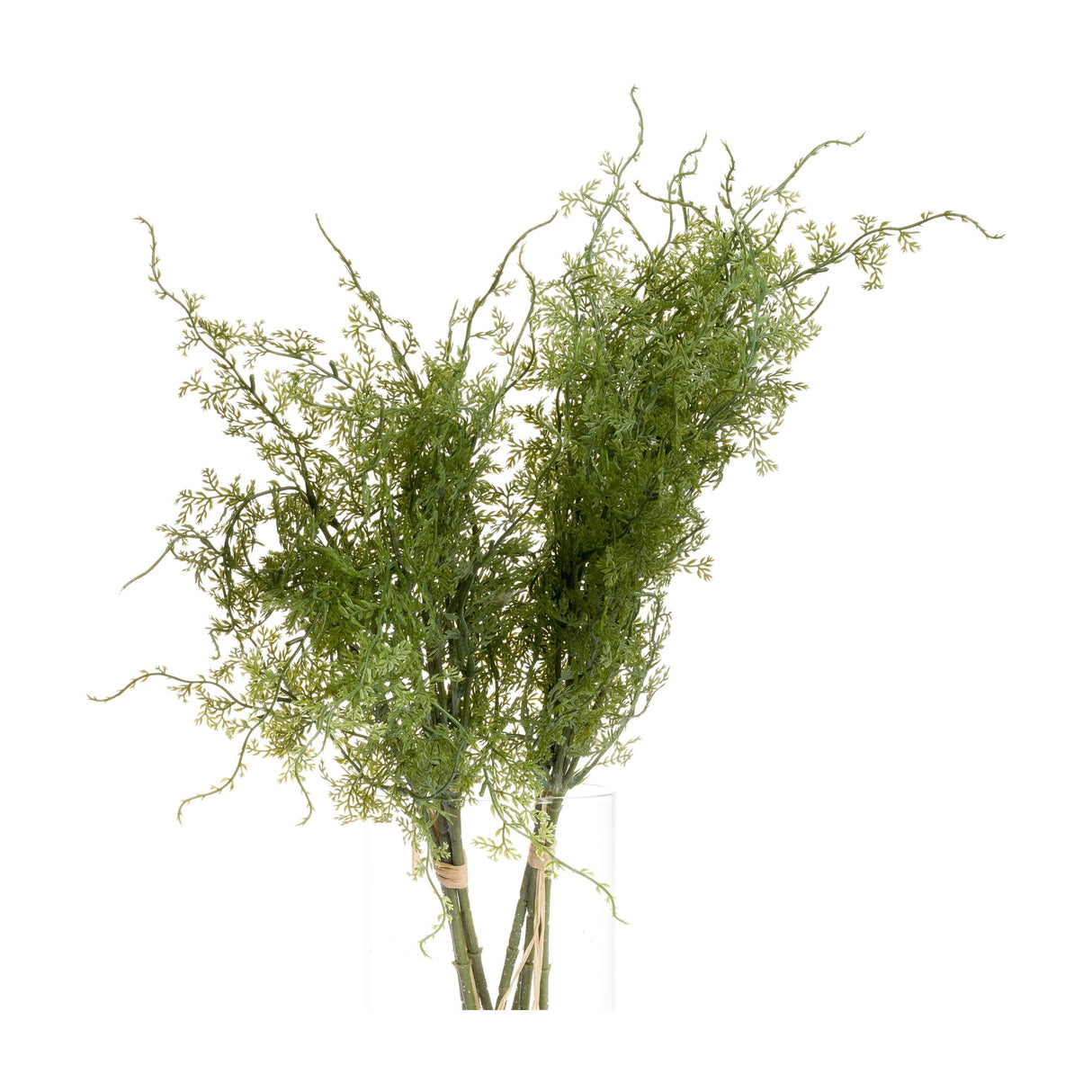 Hill Interiors Asparagus Fern Bunch with feathery green fronds and trailing stems arranged in a clear glass vase against a white background.