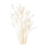 Hill Interiors dried white bunny tail bunch of 60 faux stems with soft fluffy plumes on slender stems, shown against a plain white background.