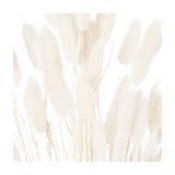 Close-up of Hill Interiors Dried White Bunny Tail Bunch of 60, showing soft, fluffy white plumes on slender faux stems against a plain white background.