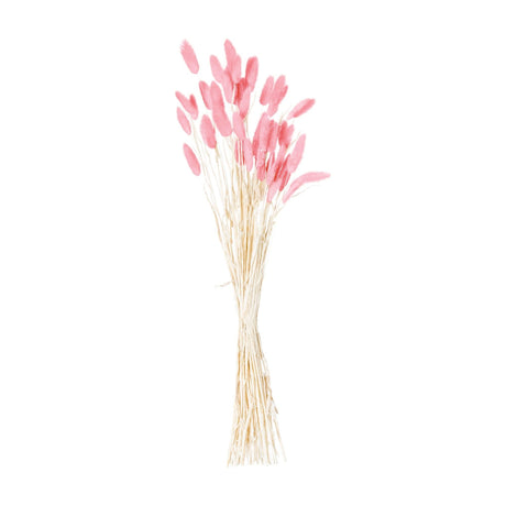 Hill Interiors Dried Pale Pink Bunny Tail Bunch of 40 faux plants with fluffy tapered plumes on slim natural stems, shown against a plain white background.
