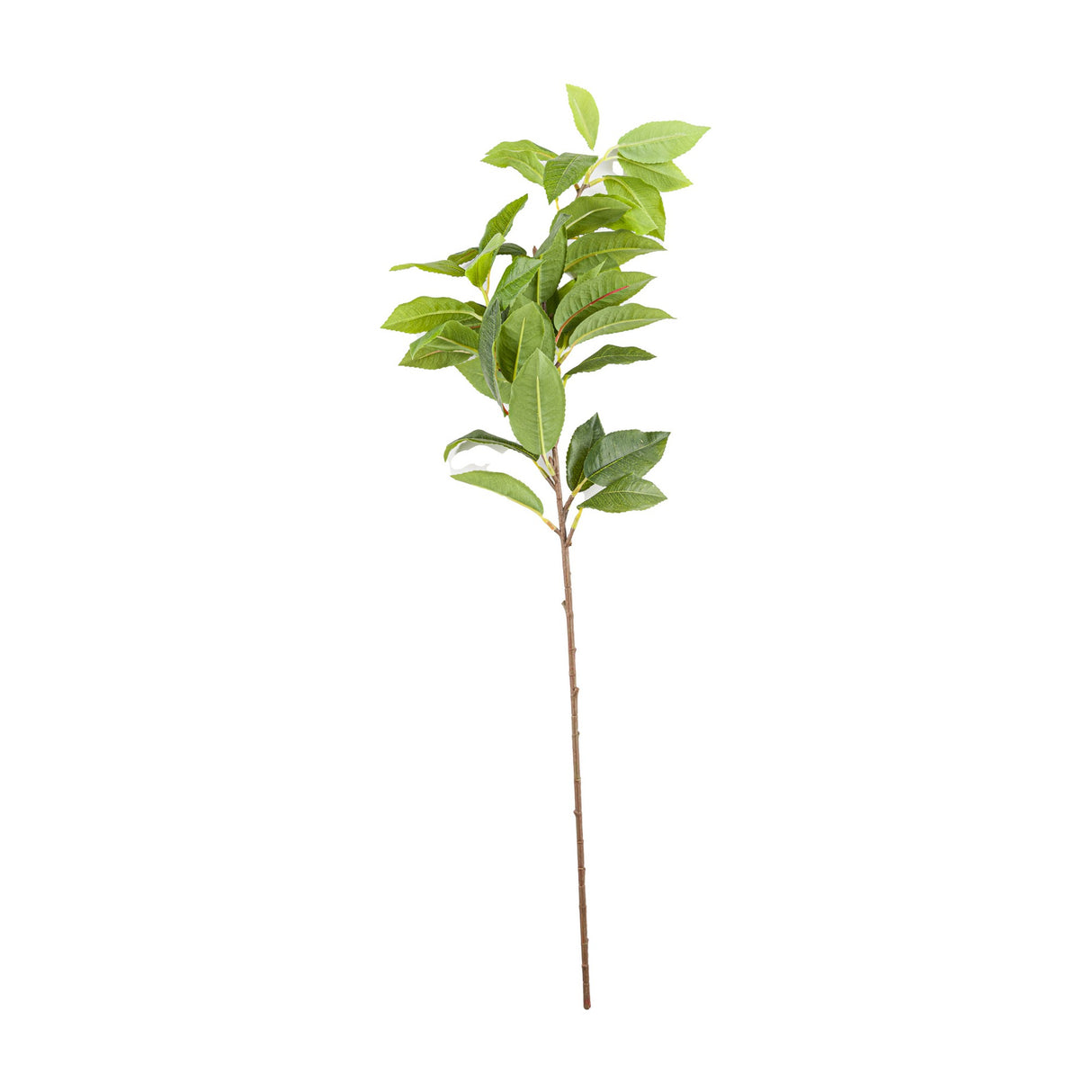 Hill Interiors Laurel Leaf Spray, a 60cm faux foliage stem with glossy green pointed plastic leaves clustered at the top of a slender brown stem, on white.