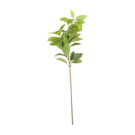 Hill Interiors Laurel Leaf Spray, a 60cm faux foliage stem with glossy green pointed plastic leaves clustered at the top of a slender brown stem, on white.